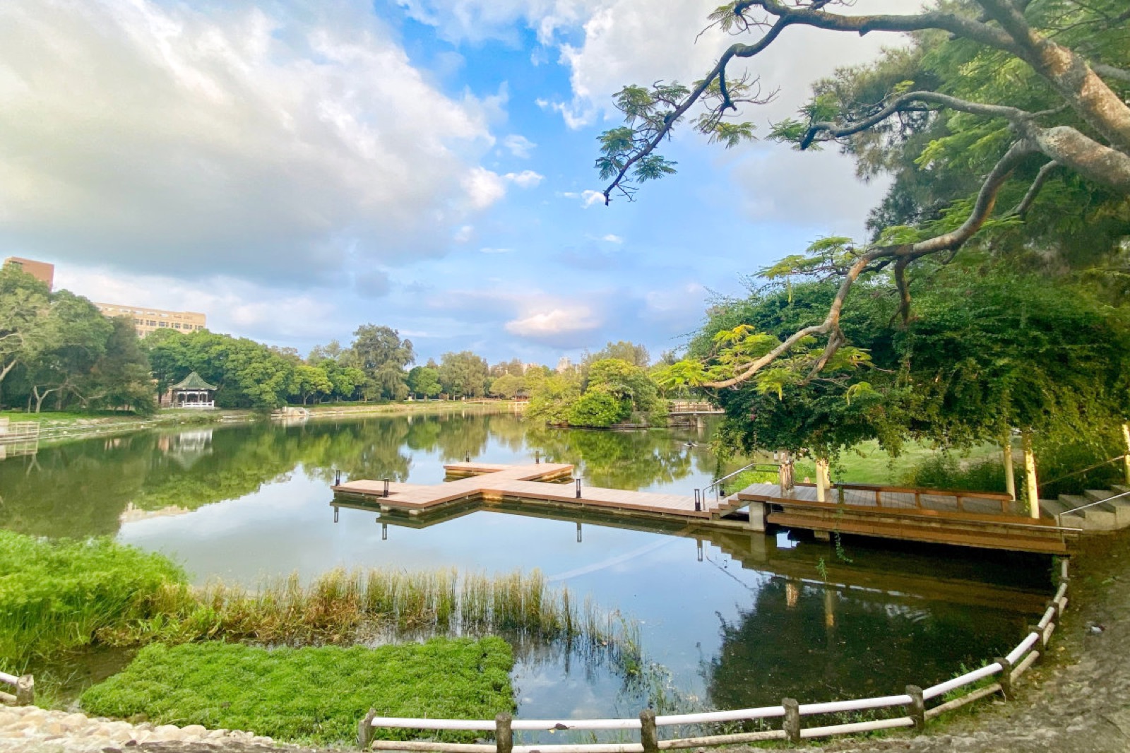 清華校園一景
